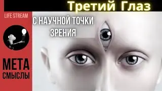 Третий глаз с научной точки зрения.  Разбор книги Томаса Метцингера 