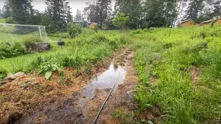 Passive Irrigation in the Forest Garden: Swales, Spillways, & Flood Control