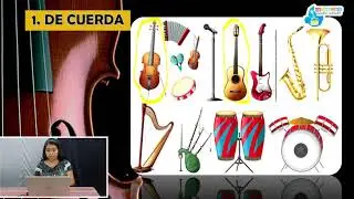 Expresión Artística  Instrumentos musicale