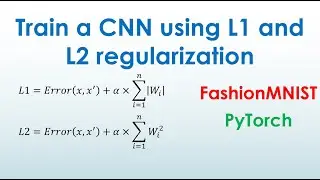 Train a CNN using L1 and L2 regularization