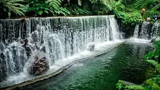 BATO SPRING SAN PABLO LAGUNA