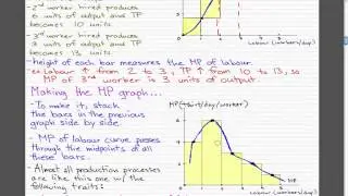 Microeconomics - 112: Product and Marginal Product Curves