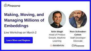 Making, Moving, and Managing Millions of Embeddings