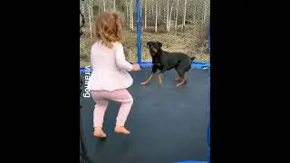 Dog dancing with baby 😍😍