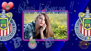 PRESENTACION DE IMAGENES ENVIDEO