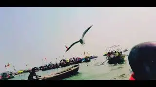 Triveni sangam #allhabad #trivenisangam #youtube  #video 🎥...