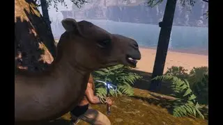 Conan Exiles - Das Kamel