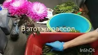 14 июня 2022 г. Засолка папоротника на зиму.