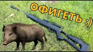 Knocked out a BOAR with the HATSAN Striker Edge Airgun