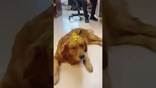 Cutu Krishna ❤️❤️❤️❤️