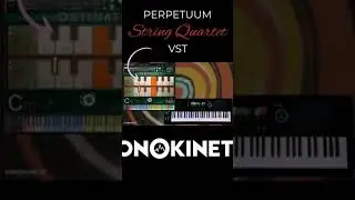 Discover Sonokinetic
