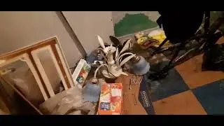 (18+)Просто жесть,переезка
