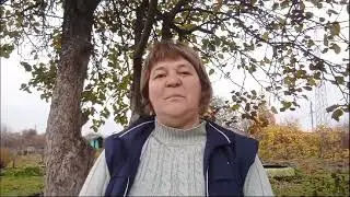 что не зимует сохраняю в погребе