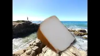 Monterey Jack, Sierra Nevada