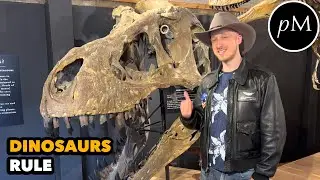What is the definition of a fossil? 🦖 Morrison Natural History Museum Tour