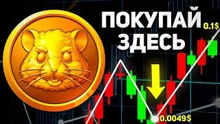 Хомяк даст ИКСЫ и вот ПОЧЕМУ: Потенциал монеты HMSTR