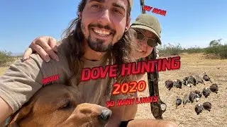 Arizona Dove Hunting 2020  Opening day Limit