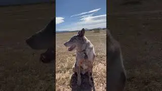 Rio Burrito -In the desert 🏜️
