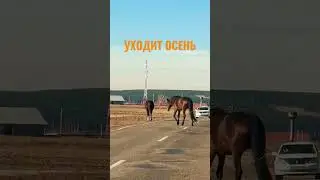 #позитив
