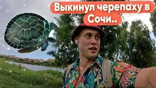Выбросил домашнюю черепаху в Сочи