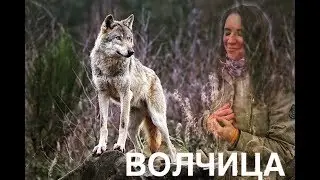 Волчица. Стих для тех, кто любит животных