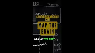 The Best Tool To Map Your Brain