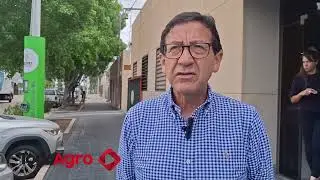 Vacas lecheras: Las claves para transformar el pasto en sólidos útiles a bajo costo