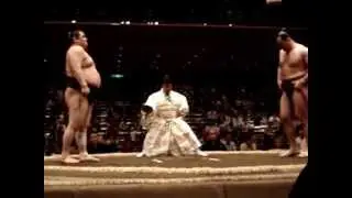 2008 Natsu Day 7 Wakatenro -v- Aran