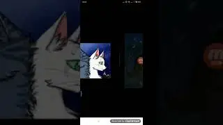 Коты воители чёрная звезда