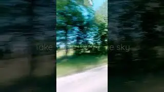 just some lofi nature footage