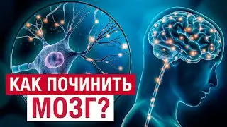Мозг заработает на 100%! / Как ВЫРАСТИТЬ новые нейроны и УЛУЧШИТЬ память?