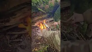 Fish 🐟 dinner 🍽 #survival