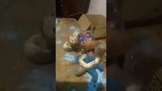 скибиди виноград часть 7