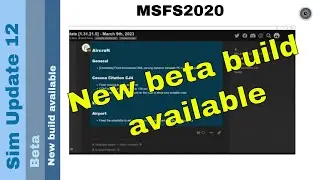 Flight Simulator 2020 - MSFS Update - Sim Update 12 - new build available