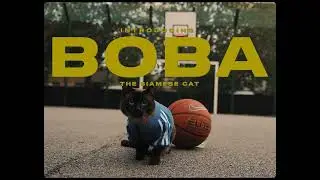 Boba the Roadman