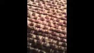 trim 1575AC80 4C25 46D4 9F88 C1B0959A2A8F