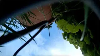 SUNLINER - Old Habits