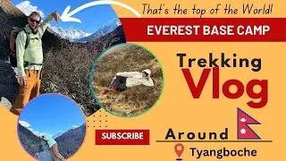 Day 4: 🏞️Everest is just Above Your Head | Mr. Lover lover, Mr. Boombastic 😎😂😆 | EBC Trekking🥾🇺🇸🤝🇳🇵🔆