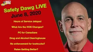 Safety Dawg Live