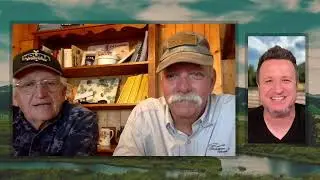 Train Your Mule or Donkey, Do It Yourself, & Learn All You Can About Mules