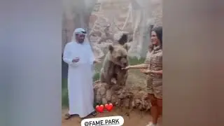 Andrea & Ali VS Animals 😂