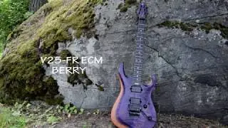 Taisto Guitars - V25-FR Berry Custom Guitar