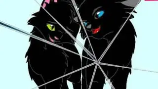 Коты воители.🐈
