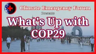 What's Up with COP29