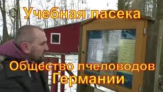 Учебная пасека общества пчеловодов Германии /  В гостях у IMKER DE / Пчеловодство Германии