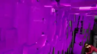 Container exhibition test 2