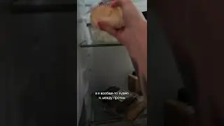 Через сколько я смогу стать идеальным человеком?