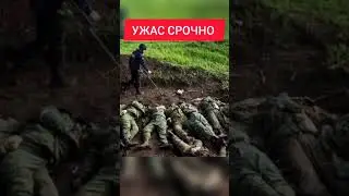 ТЕЗ.. ШОШИЛИНЧ