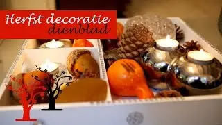 Herfst decoratie dienblad maken DIY