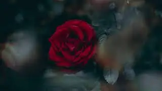 Maria Daines ~ Stop Lovin' You